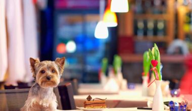des adresses élégantes où votre chien est toujours le bienvenu – Paris Select