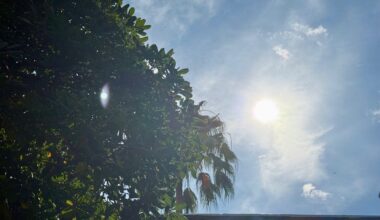 Météo à Marseille. Après la fin de la canicule, doit-on s'attendre à un nouvel épisode de fortes chaleurs ?