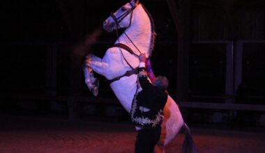 Cascades, voltiges… Un spectacle équestre gratuit à voir en famille ce week-end près de Nancy