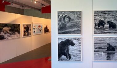 une exposition pour un traitement plus respectueux des ours