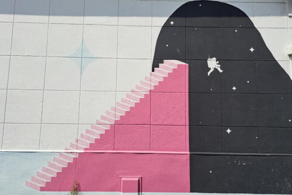 Un cosmonaute et un escalier rose orne un mur dans le quartier de l'Eure l'avez-vous déjà remarqué ? 