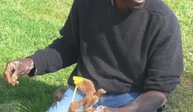 « Depuis l’âge de 7 ans, je travaille le bronze avec mon père » : Le sculpteur Abdoulaye Gandema lève le voile sur ses techniques à Chalais