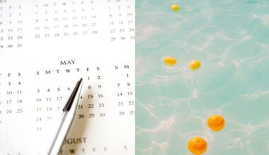 Summer Bank Holiday, pourquoi un jour en plein été est férié ?