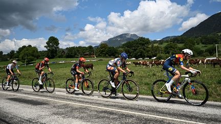 L'échappée du jour de la 8e étape du Tour de France femmes, avec la maillot à pois la Suissesse Elise Chabbey (1re à gauche), le 2 août 2025. (JULIEN DE ROSA / AFP)
