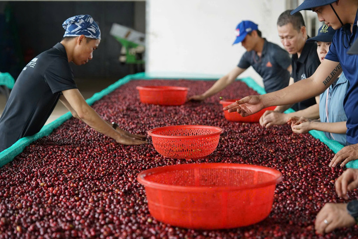 Le Vietnam exporte chaque année une grande quantité de poivre, de café et de noix de cajou vers le marché américain.