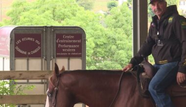 cette discipline équestre venue des Etats-Unis allie vitesse, puissance et maîtrise
