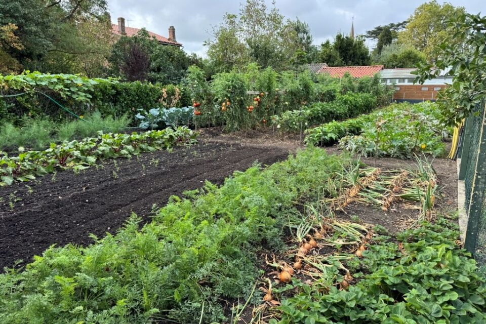 Chez José, le jardin est bien organisé. Rien ne doit dépasser .
