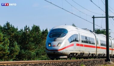 Des trains trop en retard et un réseau trop vétuste : le patron de la Deutsche Bahn limogé en Allemagne