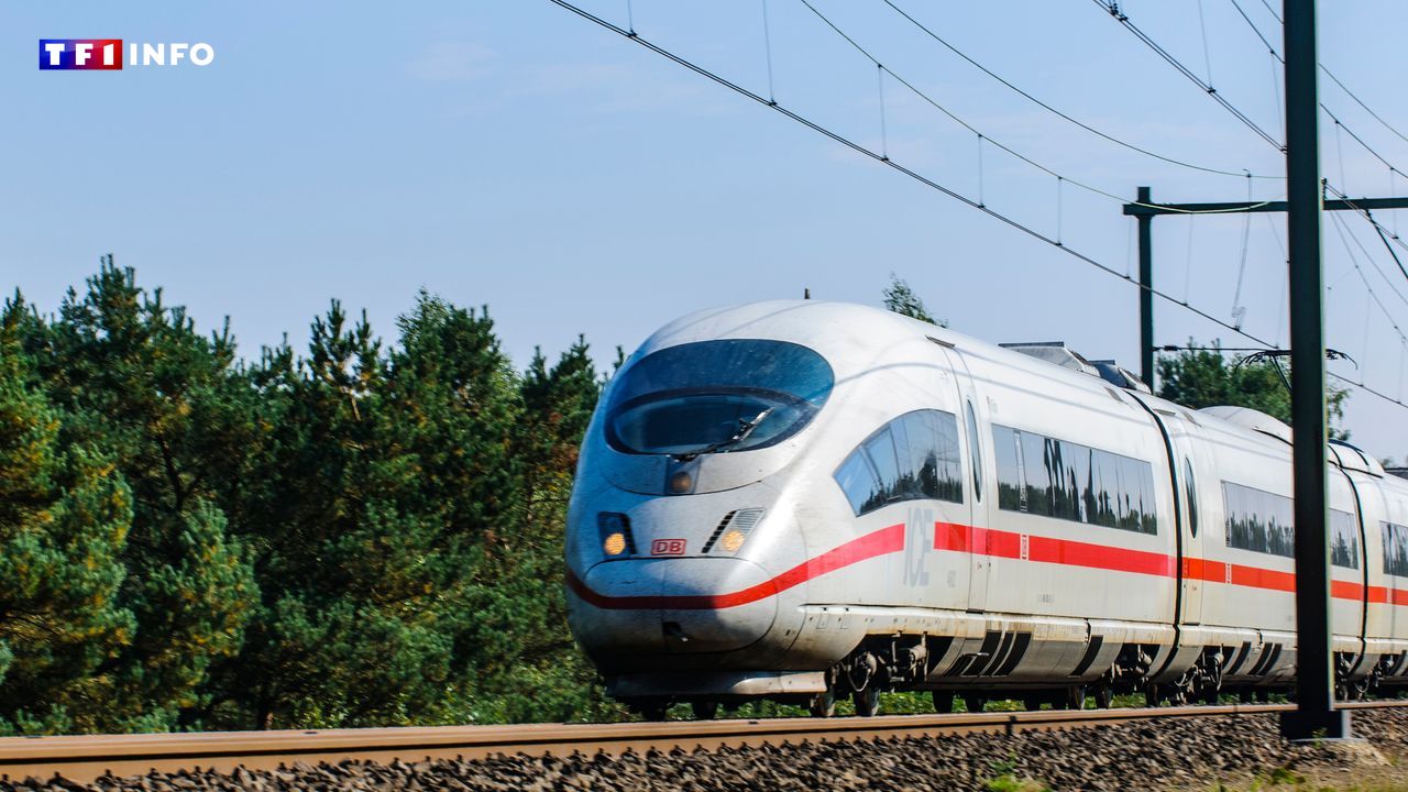 Des trains trop en retard et un réseau trop vétuste : le patron de la Deutsche Bahn limogé en Allemagne