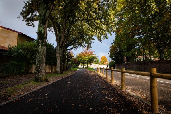 Bordeaux Métropole veut accélérer la marche en désencombrant les trottoirs