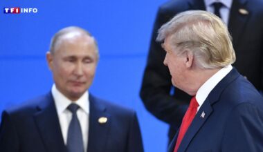 Ukraine : une rencontre Trump-Poutine "dans les prochains jours"... grâce à l'ultimatum américain ?