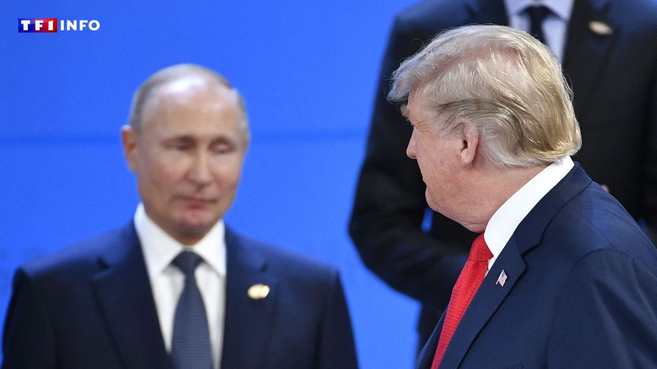 Ukraine : une rencontre Trump-Poutine "dans les prochains jours"... grâce à l'ultimatum américain ?