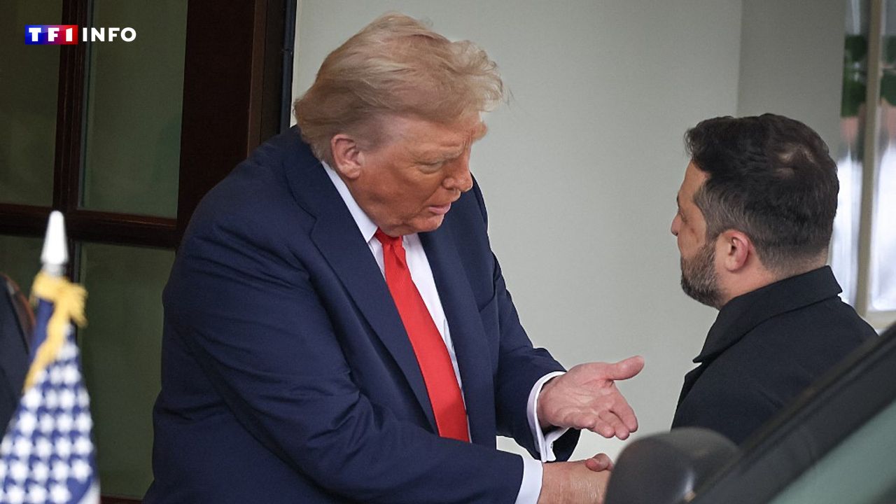 EN DIRECT - Ukraine : "Zelensky doit être flexible" dans les négociations, prévient Trump