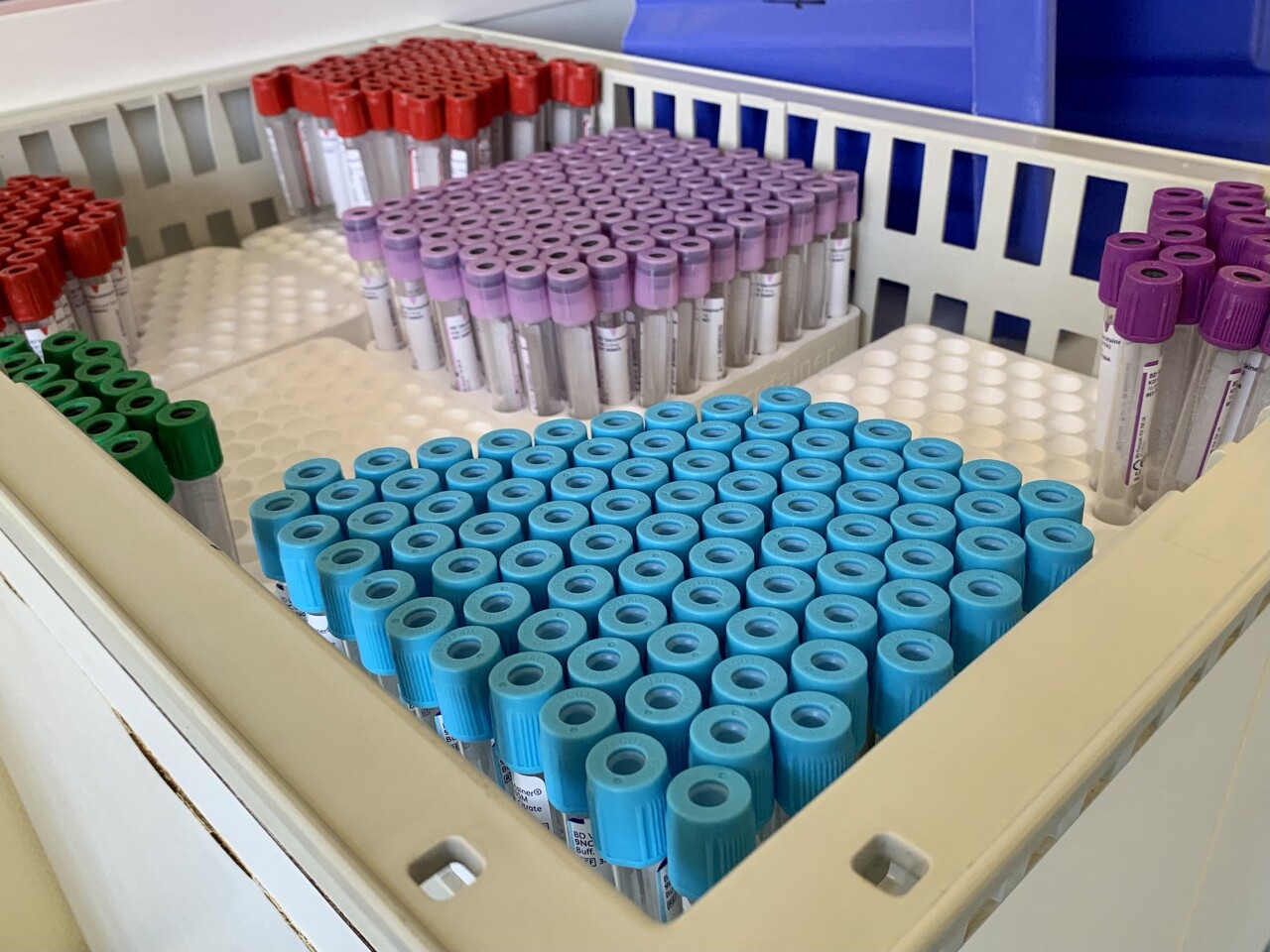 que deviennent vos données et échantillons biologiques ?