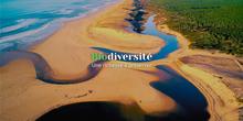 Biodiversité, une richesse à préserver : notre dossier spécial