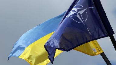 Garanties de sécurité pour l'Ukraine : Washington ne propose pas l'Otan... mais presque ?