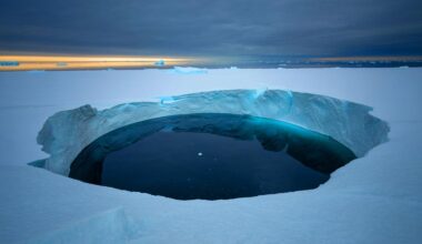 Illustration de la formation et de la persistance de la polynie Maud Rise en Antarctique.