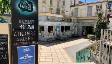 découvrez les meilleures recommandations estivales des libraires montpelliérains