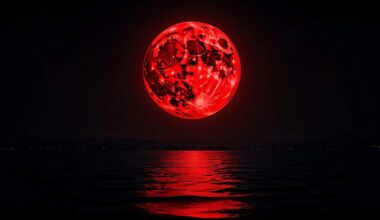 l’éclipse lunaire du 7 septembre promet un moment magique et universel