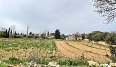 Victime d'une baisse de subventions, la Cité de l'agriculture baisse le rideau