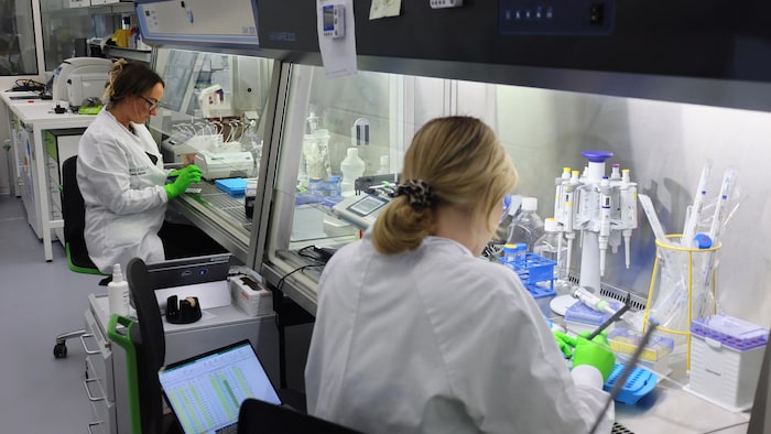 Deux femmes travaillent dans un laboratoire.