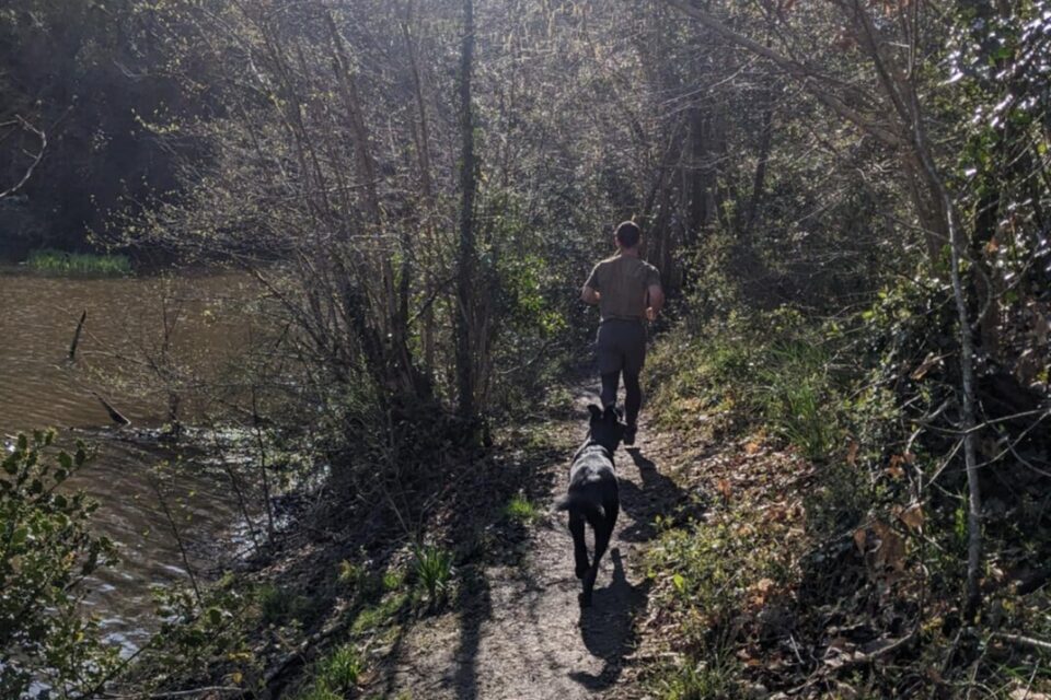 Et si vous partiez en balade à Nantes ou dans une des communes de la métropole ? La vallée du Cens à Orvault est l'endroit parfait.