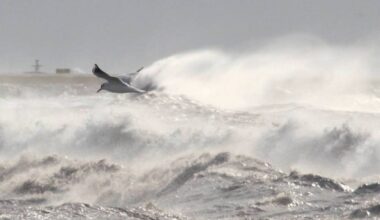 Vigilance jaune pluie-inondation et orages: les parcs, jardins et le sentier du littoral de Nice fermés ce jeudi 28 août