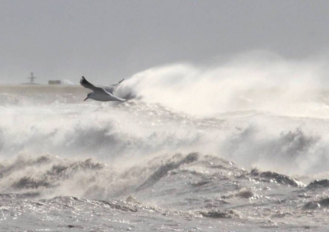 Vigilance jaune pluie-inondation et orages: les parcs, jardins et le sentier du littoral de Nice fermés ce jeudi 28 août