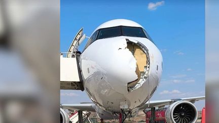 Aviation : un vol Madrid-Paris fait demi-tour après une collision avec un oiseau