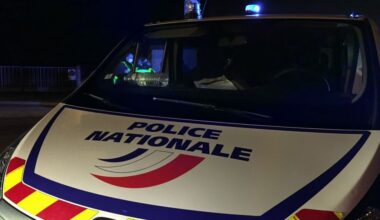 De jeunes cambrioleurs arrêtés en flagrant délit avec deux oeufs de type Fabergé