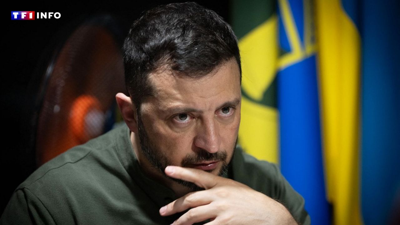 EN DIRECT - "Nous serons à nouveau une seule famille" : Zelensky martèle sa volonté d'unité de l'Ukraine pour la fête de l'indépendance
