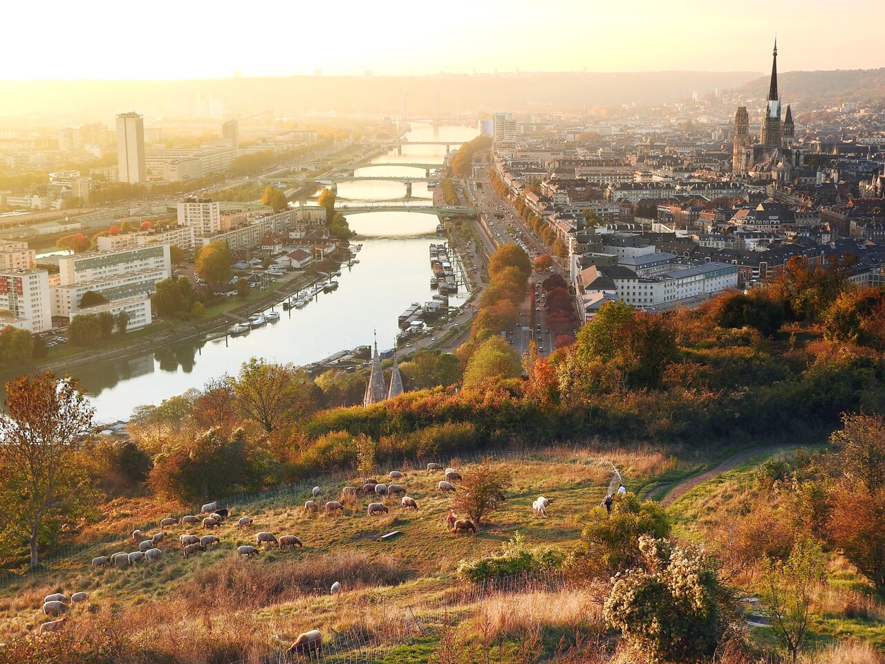 Vous êtes à Rouen au mois d'août ? Voilà plein d'idées de sorties pour vous occuper