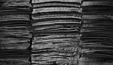 Pierre Soulages, Peinture 128 x 181 cm, 29 décembre 2018