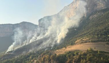 plusieurs hectares brûlés, 100 sapeurs-pompiers mobilisés pour fixer un feu de végétation dans le Vercors