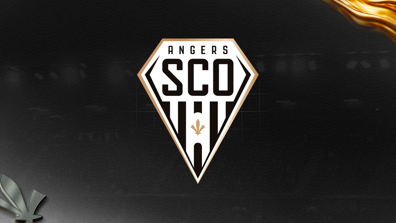 Communiqué officiel - Angers SCO