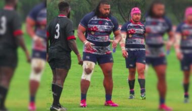 VIDEO. Plus gaillard que Meafou, on a retrouvé cet animal de 145kg qui avait échoué au Stade Toulousain
