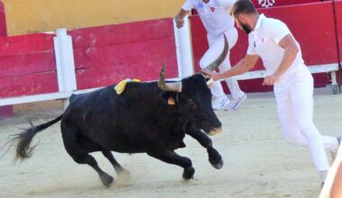 Zocato et Vincent Marignan logiquement récompensés (As)