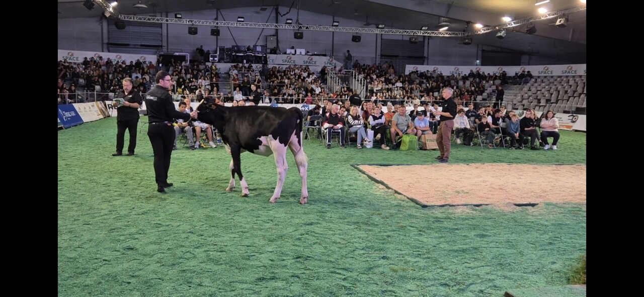 VIDEO. À Rennes, les ventes Genomic Élite au Space, c’est du business… et du spectacle