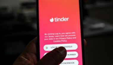 « L’arnaqueur de Tinder » arrêté en Géorgie, selon le ministère de l’intérieur