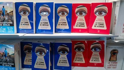 Un rayon d'un magasin Fnac dans le 15ème arrondissement de Paris, le 18 mars 2025. (RICCARDO MILANI / HANS LUCAS / AFP)