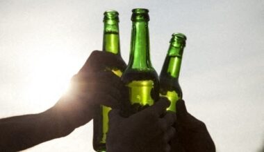 cette ville au sud de Toulouse interdit la consommation d’alcool sur la voie publique