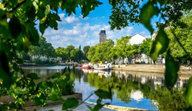 les écologistes dévoilent leur programme, en attendant une éventuelle union des gauches