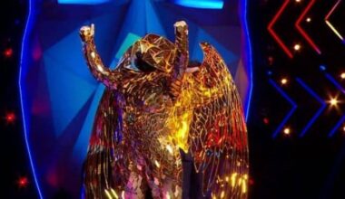 TF1 nous avait promis une star internationale dans Mask Singer hier soir... Et le "démasquage" a fait flop ! La vedette française qui a été démasquée était de son côté un humoriste...