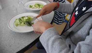 Objectif de deux menus végétariens par semaine dans les cantines strasbourgeoises : pourquoi ça coince