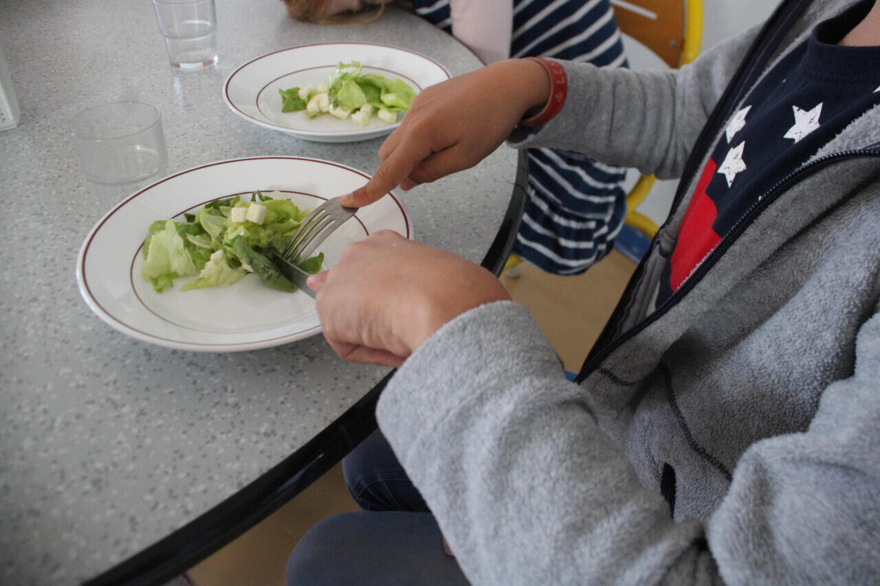 Objectif de deux menus végétariens par semaine dans les cantines strasbourgeoises : pourquoi ça coince