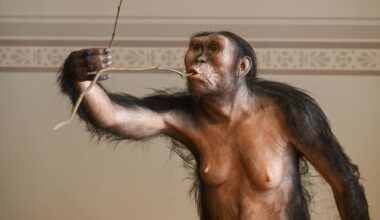 La domination masculine date-t-elle de la préhistoire ?
