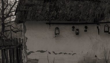 Entre toutes, de Franck Bouysse