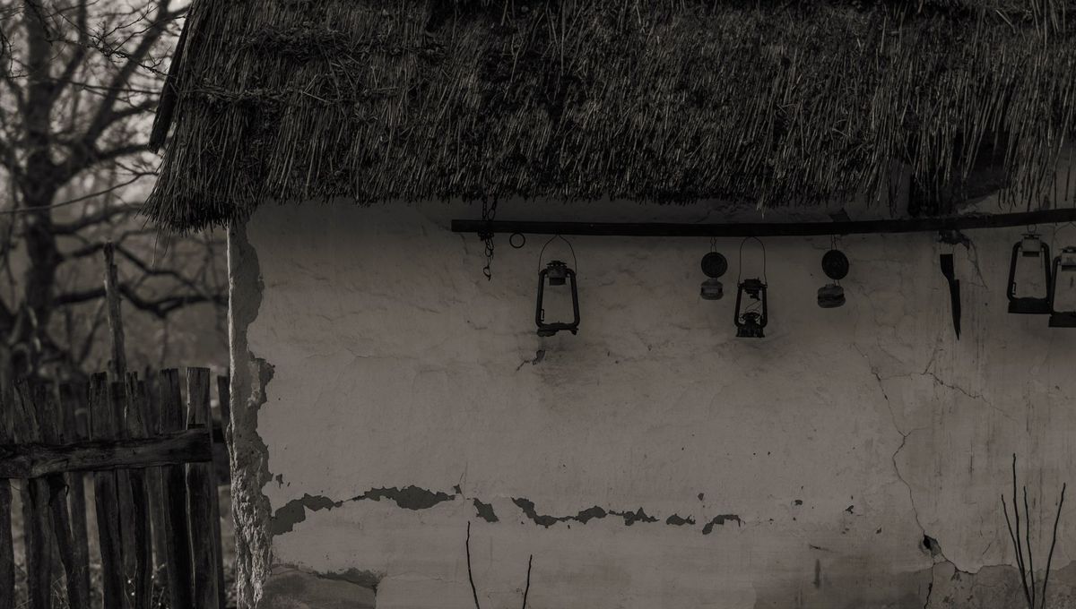 Entre toutes, de Franck Bouysse