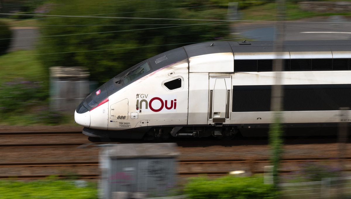 LGV Bordeaux/Toulouse : "Je suis persuadé que nos avis ne seront pas pris en compte"