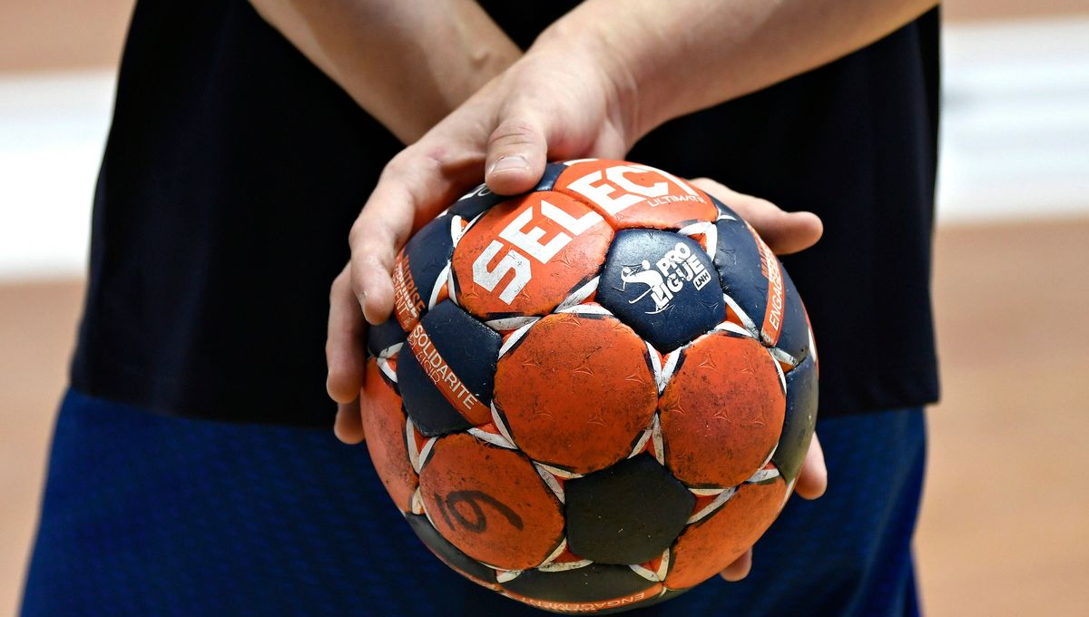 Premier match reporté pour le Nancy Handball, en attendant un nouveau président ?